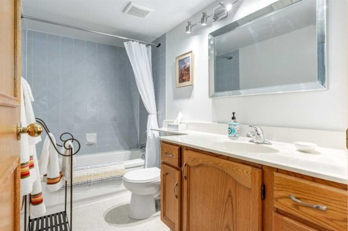 15 Sunrise Crescent Se, Calgary, AB - Indoor Photo Showing Bathroom