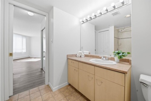 804-804 3 Avenue Sw, Calgary, AB - Indoor Photo Showing Bathroom