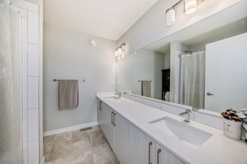 73 Homestead Boulevard Ne, Calgary, AB - Indoor Photo Showing Bathroom