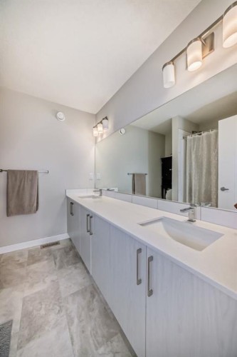 73 Homestead Boulevard Ne, Calgary, AB - Indoor Photo Showing Bathroom