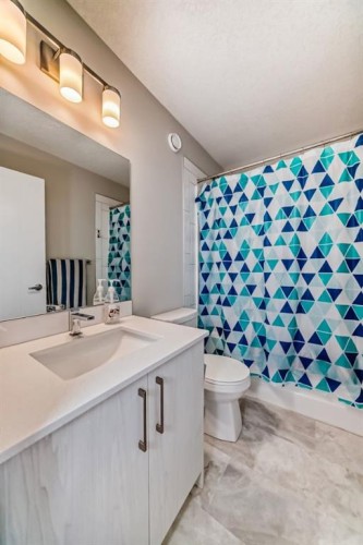 73 Homestead Boulevard Ne, Calgary, AB - Indoor Photo Showing Bathroom