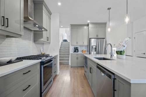 19 Cranbrook Gardens Se, Calgary, AB - Indoor Photo Showing Kitchen With Stainless Steel Kitchen With Upgraded Kitchen