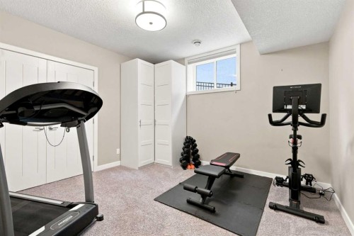 699 Cranston Avenue Se, Calgary, AB - Indoor Photo Showing Gym Room