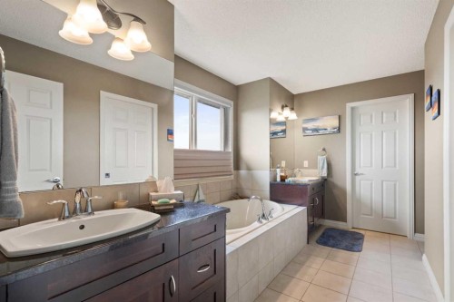 159 Sunset View, Cochrane, AB - Indoor Photo Showing Bathroom