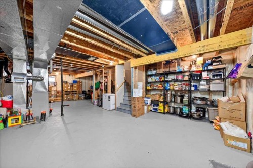 244 Silverado Range View Sw, Calgary, AB - Indoor Photo Showing Basement
