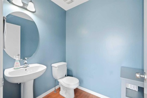 26 Copperpond Place Se, Calgary, AB - Indoor Photo Showing Bathroom