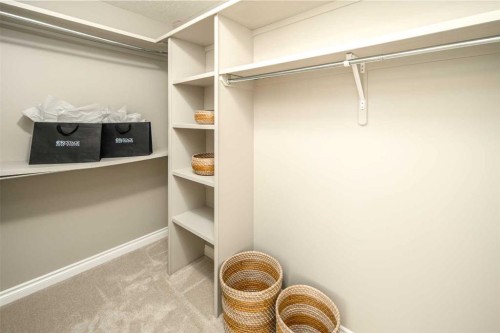 79 Hamptons Heights Nw, Calgary, AB - Indoor With Storage
