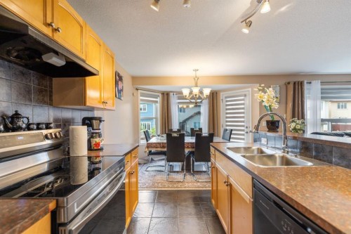 20 Saddlecrest Terrace Ne, Calgary, AB - Indoor Photo Showing Kitchen With Double Sink