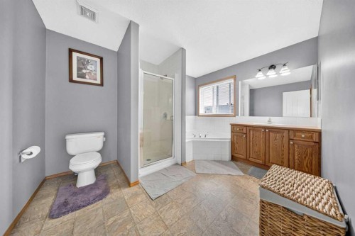 154 Saddleland Close Ne, Calgary, AB - Indoor Photo Showing Bathroom
