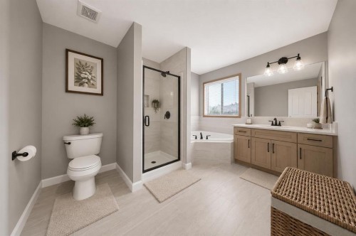 154 Saddleland Close Ne, Calgary, AB - Indoor Photo Showing Bathroom