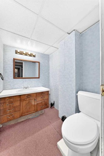 128 Erin Woods Drive Se, Calgary, AB - Indoor Photo Showing Bathroom