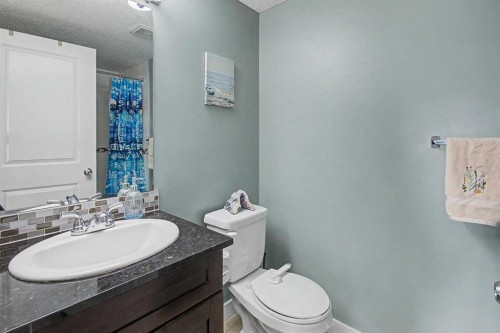 3407-403 Mackenzie Way Sw, Airdrie, AB - Indoor Photo Showing Bathroom