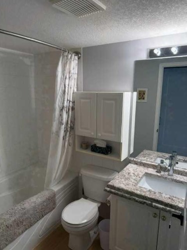 205-3205 Valleyview Park Se, Calgary, AB - Indoor Photo Showing Bathroom