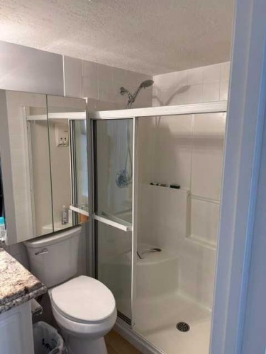 205-3205 Valleyview Park Se, Calgary, AB - Indoor Photo Showing Bathroom