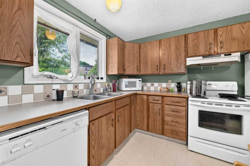 1117 8 Street Se, Calgary, AB - Indoor Photo Showing Kitchen With Double Sink