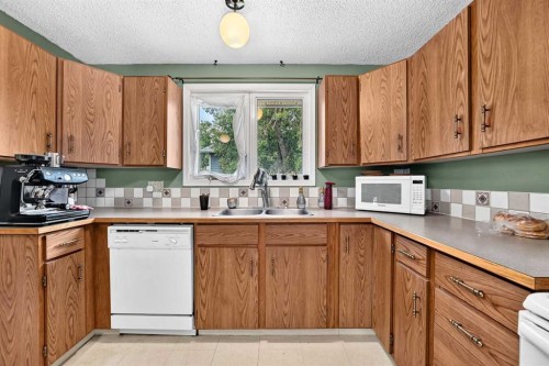1117 8 Street Se, Calgary, AB - Indoor Photo Showing Kitchen With Double Sink