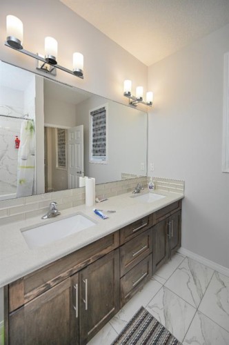 64 Cityside Common Ne, Calgary, AB - Indoor Photo Showing Bathroom