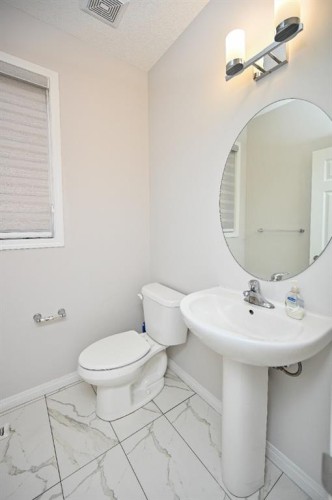 64 Cityside Common Ne, Calgary, AB - Indoor Photo Showing Bathroom