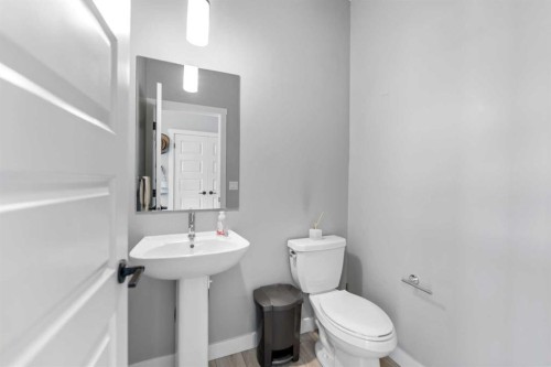 75 Homestead Park Ne, Calgary, AB - Indoor Photo Showing Bathroom