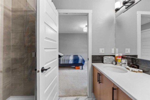 75 Homestead Park Ne, Calgary, AB - Indoor Photo Showing Bathroom