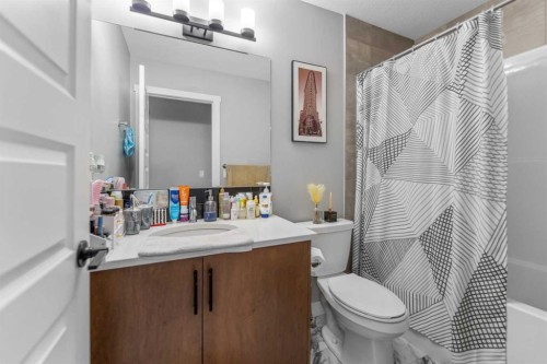 75 Homestead Park Ne, Calgary, AB - Indoor Photo Showing Bathroom