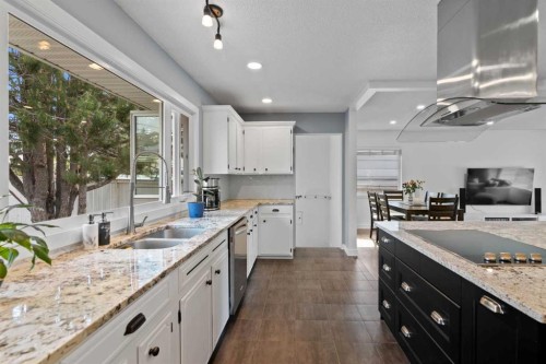 20 Mapleburn Drive Se, Calgary, AB - Indoor Photo Showing Kitchen With Double Sink