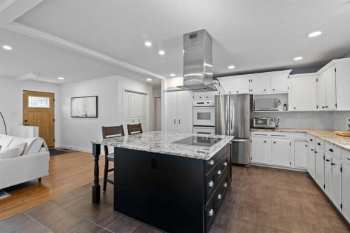 20 Mapleburn Drive Se, Calgary, AB - Indoor Photo Showing Kitchen With Upgraded Kitchen