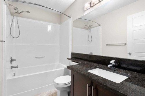 89 Pantego Lane Nw, Calgary, AB - Indoor Photo Showing Bathroom