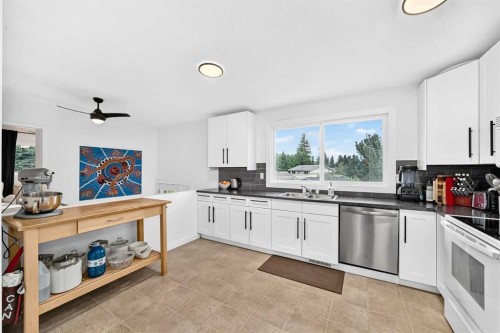 71 Dalton Bay Nw, Calgary, AB - Indoor Photo Showing Kitchen With Double Sink