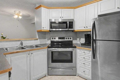 101-7724 Bowness Road Nw, Calgary, AB - Indoor Photo Showing Kitchen With Stainless Steel Kitchen With Double Sink