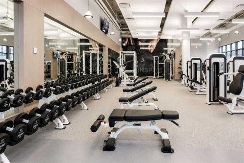 508-24 Mahogany Path Se, Calgary, AB - Indoor Photo Showing Gym Room