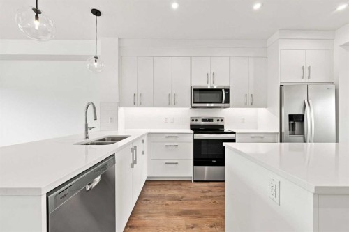 268 Huxbury View Ne, Calgary, AB - Indoor Photo Showing Kitchen With Stainless Steel Kitchen With Double Sink With Upgraded Kitchen