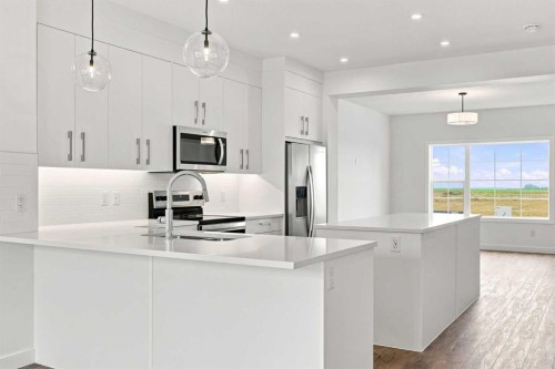 268 Huxbury View Ne, Calgary, AB - Indoor Photo Showing Kitchen With Stainless Steel Kitchen With Double Sink With Upgraded Kitchen
