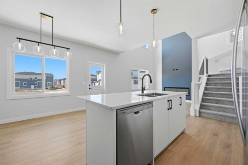 46 Waterford Mews, Chestermere, AB - Indoor Photo Showing Kitchen With Double Sink