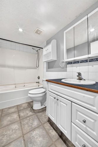 7964 Huntington Road Ne, Calgary, AB - Indoor Photo Showing Bathroom