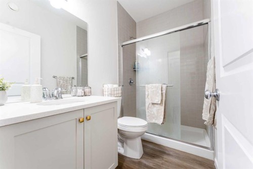 156 Savanna Drive Ne, Calgary, AB - Indoor Photo Showing Bathroom