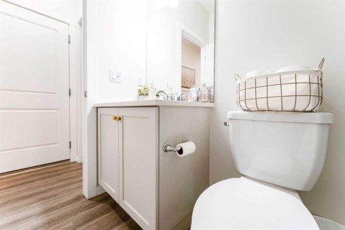 156 Savanna Drive Ne, Calgary, AB - Indoor Photo Showing Bathroom