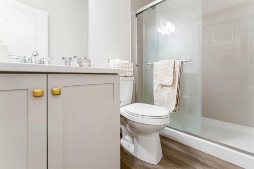 156 Savanna Drive Ne, Calgary, AB - Indoor Photo Showing Bathroom