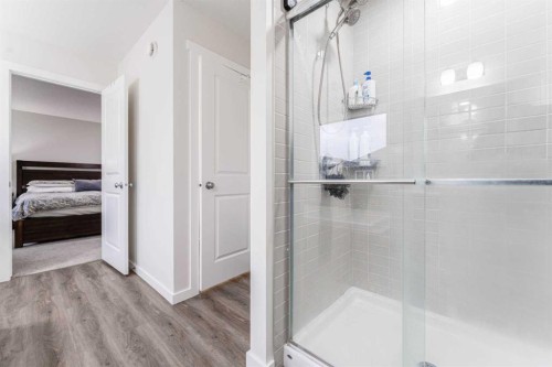 156 Savanna Drive Ne, Calgary, AB - Indoor Photo Showing Bathroom