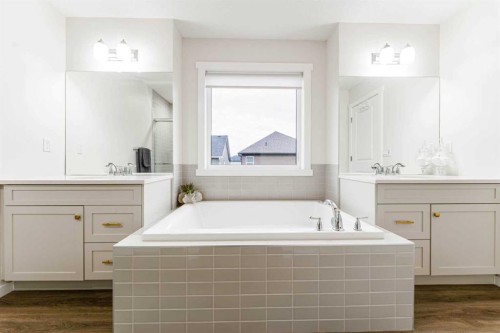 156 Savanna Drive Ne, Calgary, AB - Indoor Photo Showing Bathroom
