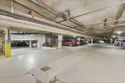 202-4512 52 Avenue, Red Deer, AB - Indoor Photo Showing Garage
