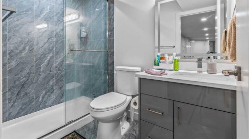 87 Corner Meadows Grove Ne, Calgary, AB - Indoor Photo Showing Bathroom