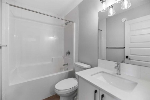 17 Savanna Place Ne, Calgary, AB - Indoor Photo Showing Bathroom