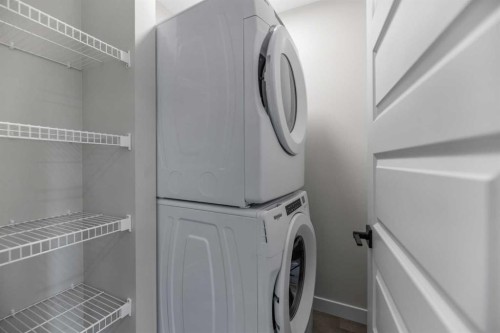 17 Savanna Place Ne, Calgary, AB - Indoor Photo Showing Laundry Room