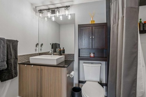 3317-11 Mahogany Row Se, Calgary, AB - Indoor Photo Showing Bathroom