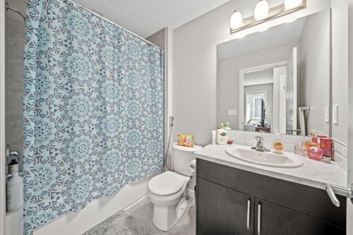 220 Windbury Lane Sw, Airdrie, AB - Indoor Photo Showing Bathroom