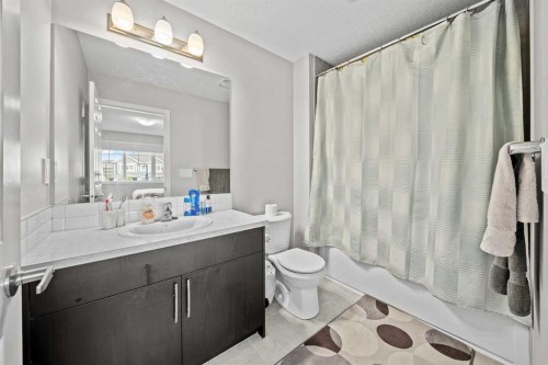 220 Windbury Lane Sw, Airdrie, AB - Indoor Photo Showing Bathroom