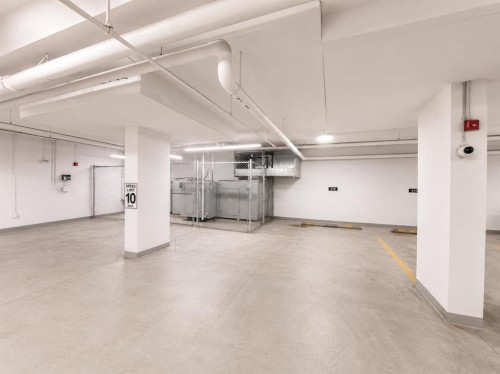 1614-60 Skyview Ranch Road Ne, Calgary, AB - Indoor Photo Showing Garage