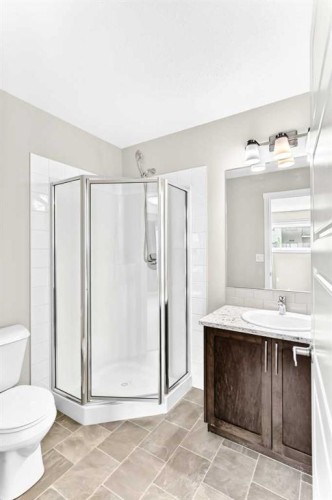 220 Red Embers Way Ne, Calgary, AB - Indoor Photo Showing Bathroom