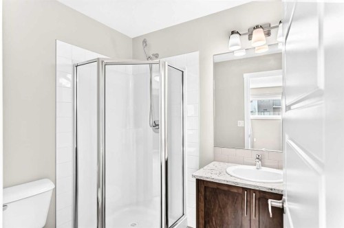 220 Red Embers Way Ne, Calgary, AB - Indoor Photo Showing Bathroom